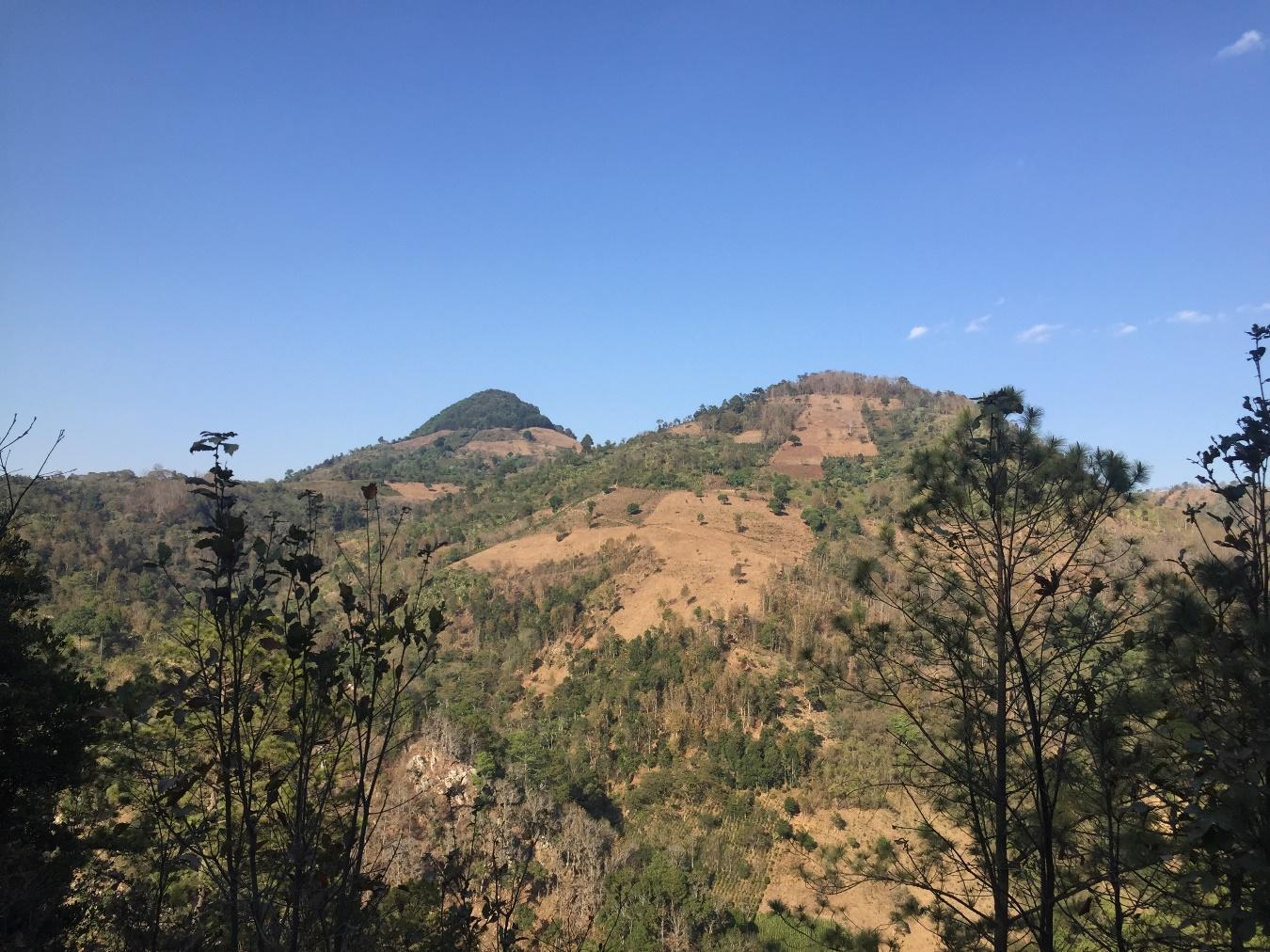 Ayarza El Porvenir