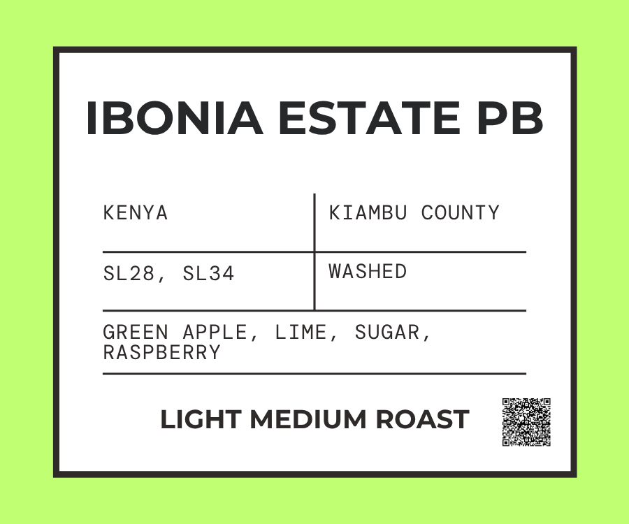 Ibonia Estate PB