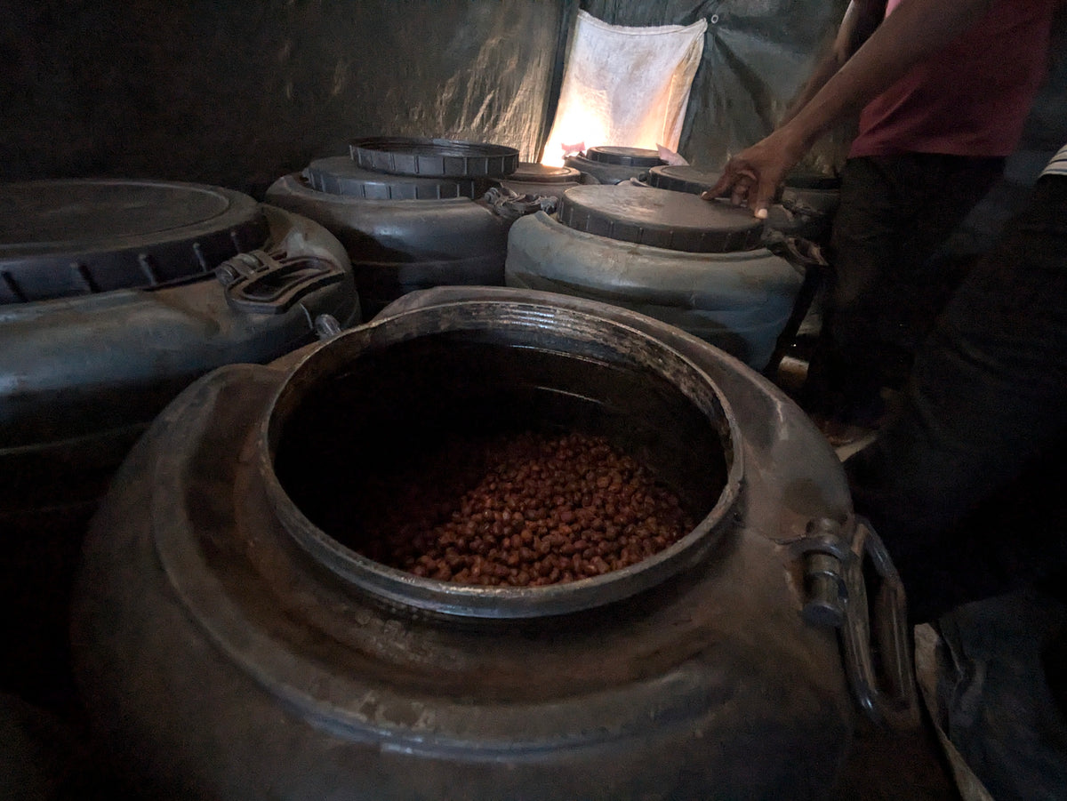 Coffee Yards 48-Hour Anaerobic Natural