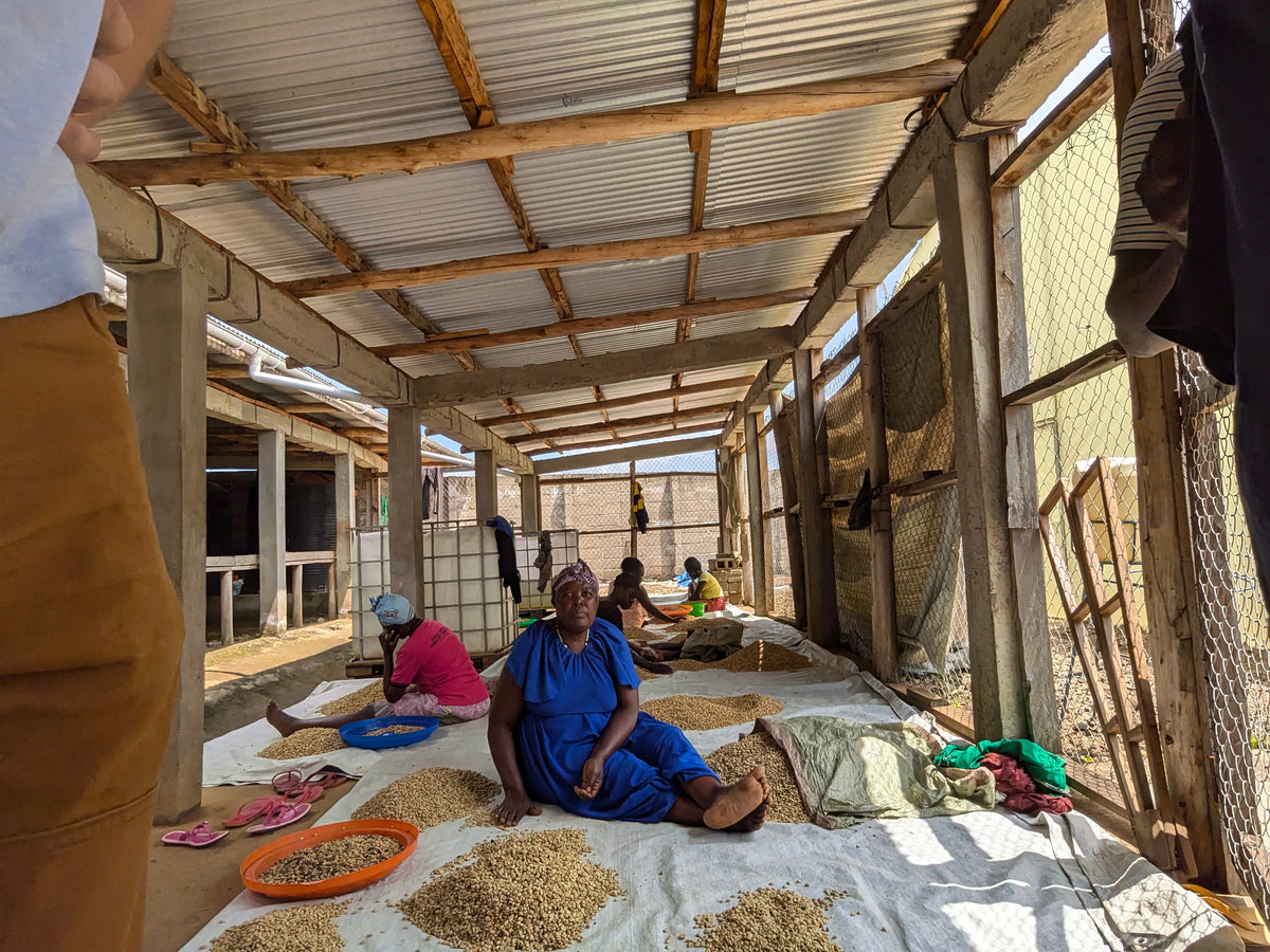 Coffee Yards 48-Hour Anaerobic Natural